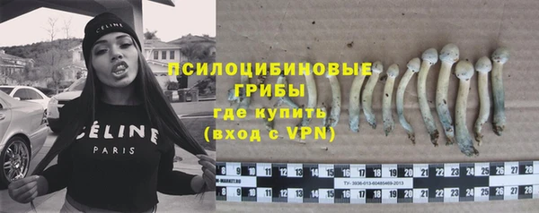 не бодяженный Нефтегорск