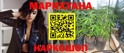 скорость Кингисепп