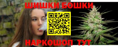скорость Кингисепп