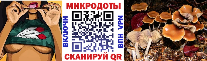 Галлюциногенные грибы ЛСД Хабаровск