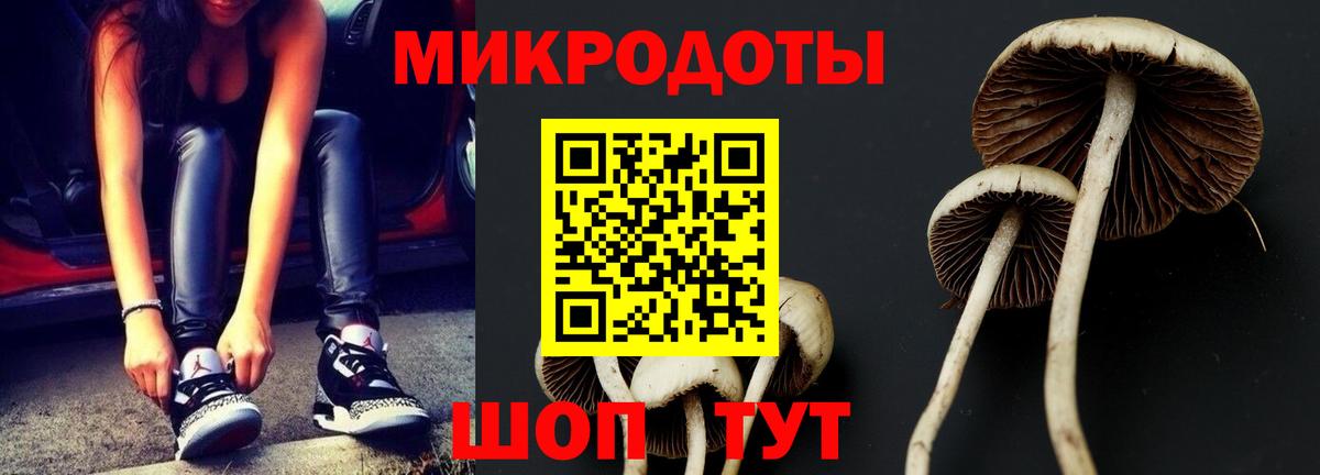 Галлюциногенные грибы мицелий  Псилоцибиновые грибы мухоморы  Хабаровск  Вход с VPN 