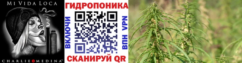 купить наркотики цена  Хабаровск  это официальный сайт  Конопля семена 